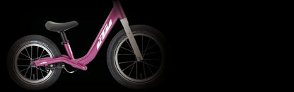 Bicicleta niño KTM kids bike wild buddy 12
